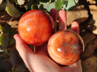 Polished Carnelian Agate Spheres x 3 From Madagascar - Toprock Gemstones and Minerals