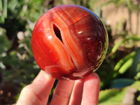 Polished Carnelian Agate Spheres x 3 From Madagascar - Toprock Gemstones and Minerals