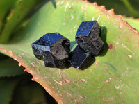 Natural Schorl Black Tourmaline Terminated Crystal Specimens with some Hyalite Opal x 70 From Erongo, Namibia - Toprock Gemstones and Minerals