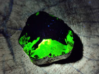 Natural Schorl Black Tourmaline Terminated Crystal Specimens with some Hyalite Opal x 13 From Erongo, Namibia - Toprock Gemstones and Minerals