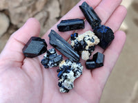 Natural Schorl Black Tourmaline Terminated Crystal Specimens x 70 From Erongo, Namibia - Toprock Gemstones and Minerals