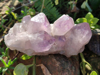 Natural Jacaranda Amethyst Quartz Cluster x 3 From Mumbwa, Zambia - Toprock Gemstones and Minerals