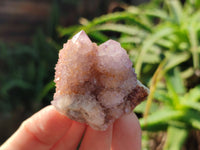 Natural Lilac Amethyst Spirit Quartz Clusters x 12 From South Africa - Toprock Gemstones and Minerals