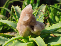 Natural Lilac Amethyst Spirit Quartz Clusters x 12 From South Africa - Toprock Gemstones and Minerals