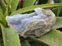 Natural Blue Lace Agate Geodes x 4 From Nsanje, Malawi - Toprock Gemstones and Minerals