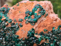 Natural Large Dioptase On Dolomite Cabinet Specimen x 1 From Mashamba East Mine, Congo - Toprock Gemstones and Minerals