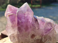 Natural Jacaranda Amethyst Quartz Cluster x 2 From Mumbwa, Zambia - Toprock Gemstones and Minerals