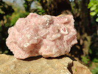 Natural Extremely Rare Collectable Rhodocalcite Specimens x 2 From Congo - Toprock Gemstones and Minerals