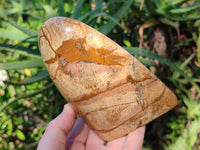 Polished Picture Stone Jasper Standing Free Forms x 2 From Ais-Ais, Namibia - Toprock Gemstones and Minerals