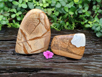 Polished Picture Stone Jasper Standing Free Forms x 2 From Ais-Ais, Namibia - Toprock Gemstones and Minerals