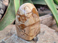 Polished Picture Stone Jasper Standing Free Forms x 2 From Ais-Ais, Namibia - Toprock Gemstones and Minerals