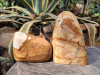 Polished Picture Stone Jasper Standing Free Forms x 2 From Ais-Ais, Namibia - Toprock Gemstones and Minerals
