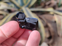 Natural Schorl Black Tourmaline Terminated Crystal Specimens with some Hyalite Opal x 70 From Erongo, Namibia - Toprock Gemstones and Minerals