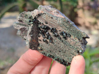 Natural Libethenite Crystals and Malachite On Dolomite Matrix Specimens x 6 From Shituru, Congo - Toprock Gemstones and Minerals