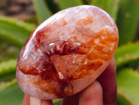 Polished Red Hematoid Quartz Palm Stones x 12 From Madagascar - Toprock Gemstones and Minerals
