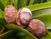 Polished Red Hematoid Quartz Palm Stones x 12 From Madagascar - Toprock Gemstones and Minerals