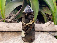 Polished Fossilized Septerye Point x 1 From Mahajanga, Madagascar - Toprock Gemstones and Minerals