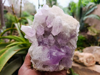 Natural Jacaranda Amethyst Quartz Cluster x 2 From Mumbwa, Zambia - Toprock Gemstones and Minerals
