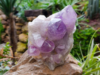 Natural Jacaranda Amethyst Quartz Cluster x 2 From Mumbwa, Zambia - Toprock Gemstones and Minerals