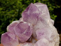 Natural Jacaranda Amethyst Quartz Cluster x 2 From Mumbwa, Zambia - Toprock Gemstones and Minerals