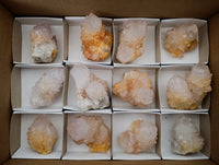 Natural Ametrine Spirit Quartz Clusters x 12 From Boekenhouthoek, South Africa - Toprock Gemstones and Minerals