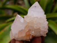 Natural Ametrine Spirit Quartz Clusters x 12 From Boekenhouthoek, South Africa - Toprock Gemstones and Minerals