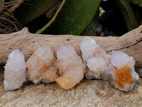 Natural Ametrine Spirit Quartz Clusters x 12 From Boekenhouthoek, South Africa - Toprock Gemstones and Minerals