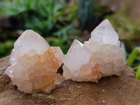 Natural Ametrine Spirit Quartz Clusters x 12 From Boekenhouthoek, South Africa - Toprock Gemstones and Minerals