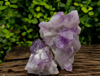 Natural Jacaranda Amethyst Quartz Cluster x 3 From Mumbwa, Zambia - Toprock Gemstones and Minerals
