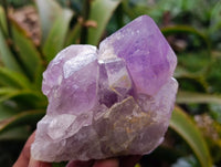 Natural Jacaranda Amethyst Quartz Cluster x 3 From Mumbwa, Zambia - Toprock Gemstones and Minerals