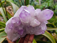 Natural Jacaranda Amethyst Quartz Cluster x 3 From Mumbwa, Zambia - Toprock Gemstones and Minerals