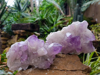 Natural Jacaranda Amethyst Quartz Cluster x 3 From Mumbwa, Zambia - Toprock Gemstones and Minerals