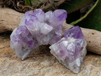 Natural Jacaranda Amethyst Quartz Cluster x 3 From Mumbwa, Zambia - Toprock Gemstones and Minerals