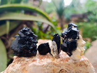 Natural Schorl Black Tourmaline, Smokey Quartz and Fluorite Specimens x 35 From Erongo, Namibia - Toprock Gemstones and Minerals