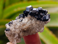 Natural Schorl Black Tourmaline, Smokey Quartz and Fluorite Specimens x 35 From Erongo, Namibia - Toprock Gemstones and Minerals