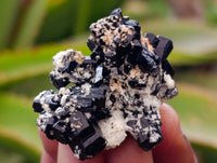 Natural Schorl Black Tourmaline, Smokey Quartz and Fluorite Specimens x 35 From Erongo, Namibia - Toprock Gemstones and Minerals