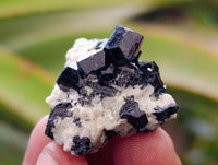 Natural Schorl Black Tourmaline, Smokey Quartz and Fluorite Specimens x 35 From Erongo, Namibia - Toprock Gemstones and Minerals