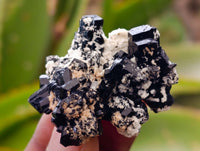 Natural Schorl Black Tourmaline, Smokey Quartz and Fluorite Specimens x 35 From Erongo, Namibia - Toprock Gemstones and Minerals
