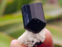 Natural Schorl Black Tourmaline, Smokey Quartz and Fluorite Specimens x 35 From Erongo, Namibia - Toprock Gemstones and Minerals