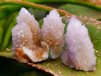 Natural Ametrine and Amethyst Spirit Quartz Clusters x 35 From South Africa - Toprock Gemstones and Minerals