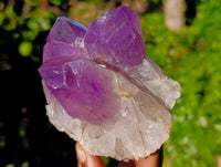 Natural Jacaranda Amethyst Quartz Cluster x 3 From Mumbwa, Zambia - Toprock Gemstones and Minerals