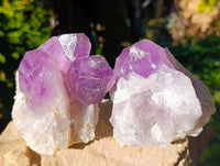 Natural Jacaranda Amethyst Quartz Cluster x 3 From Mumbwa, Zambia - Toprock Gemstones and Minerals