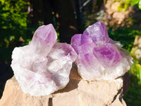 Natural Jacaranda Amethyst Quartz Cluster x 3 From Mumbwa, Zambia - Toprock Gemstones and Minerals