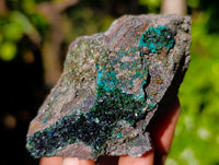 Natural Libethenite Crystals On Dolomite Matrix Specimens x 6 From Shituru, Congo - Toprock Gemstones and Minerals