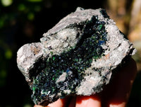 Natural Libethenite Crystals On Dolomite Matrix Specimens x 6 From Shituru, Congo - Toprock Gemstones and Minerals