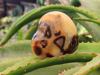 Polished Septerye Hearts x 12 From Mahajanga, Madagascar - Toprock Gemstones and Minerals