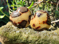 Polished Septerye Hearts x 12 From Mahajanga, Madagascar - Toprock Gemstones and Minerals