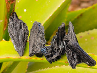Natural Schorl Black Tourmaline Specimens with some Orthoclase, Smokey Quartz and Hyalite Opal x 35 From Erongo, Namibia - Toprock Gemstones and Minerals