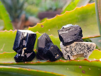 Natural Schorl Black Tourmaline Specimens with some Orthoclase, Smokey Quartz and Hyalite Opal x 35 From Erongo, Namibia - Toprock Gemstones and Minerals