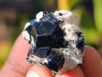 Natural Schorl Black Tourmaline Specimens on Orthoclase Matrix x 70 From Erongo, Namibia - Toprock Gemstones and Minerals